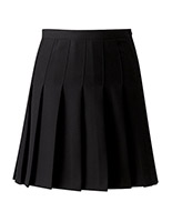 Skirt - Designer - Pleated